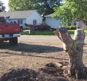 Shreveport Tree Serv...