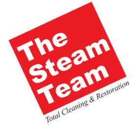 The Steam Team