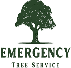 Tree Service Roswell