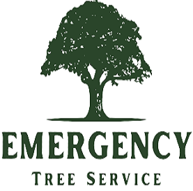 Tree Service Roswell