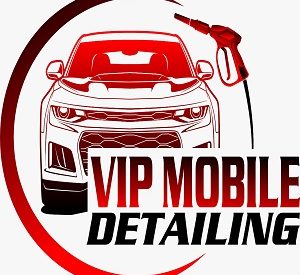 VIP Mobile Car Detai...